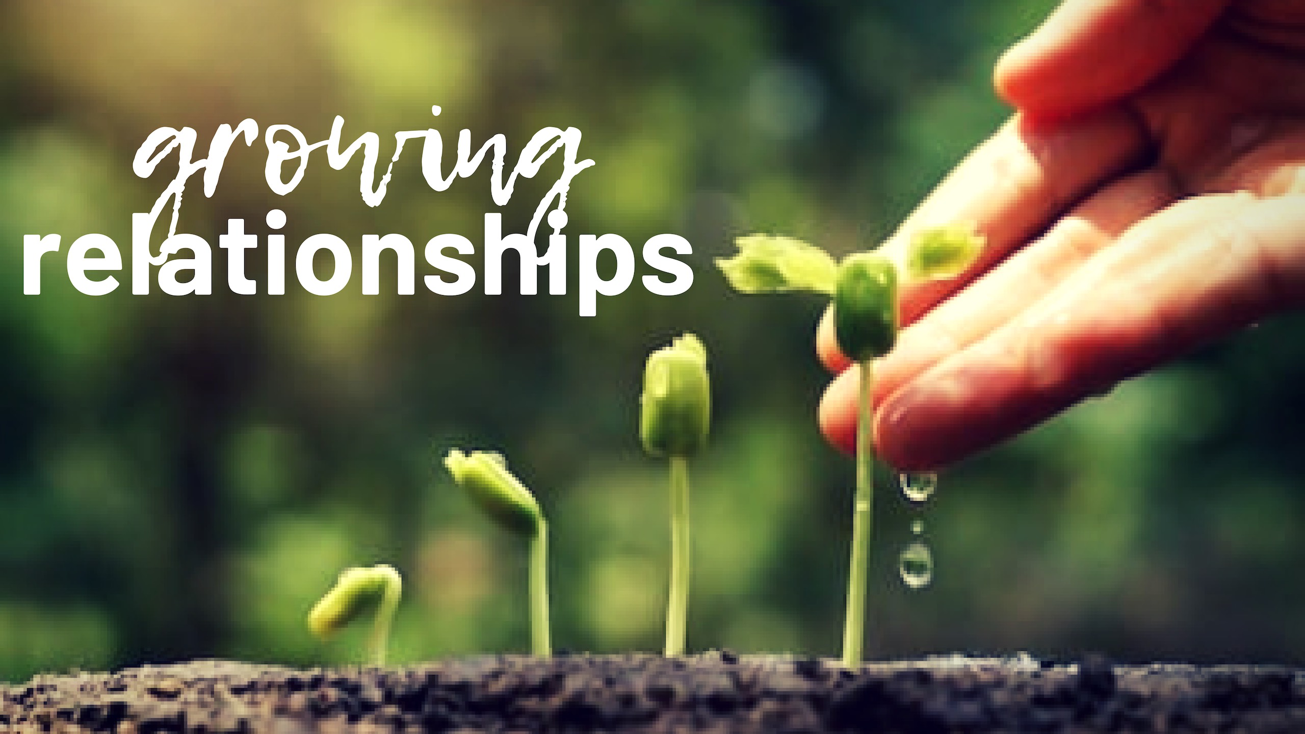 Growing Relationships